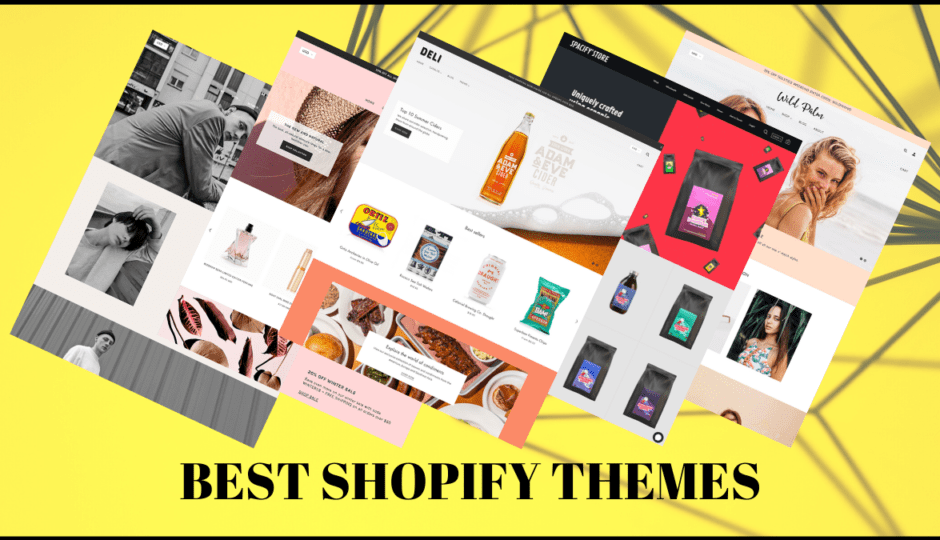 best shopify themes