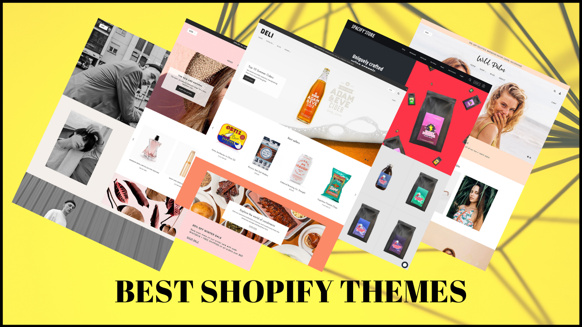 best shopify themes