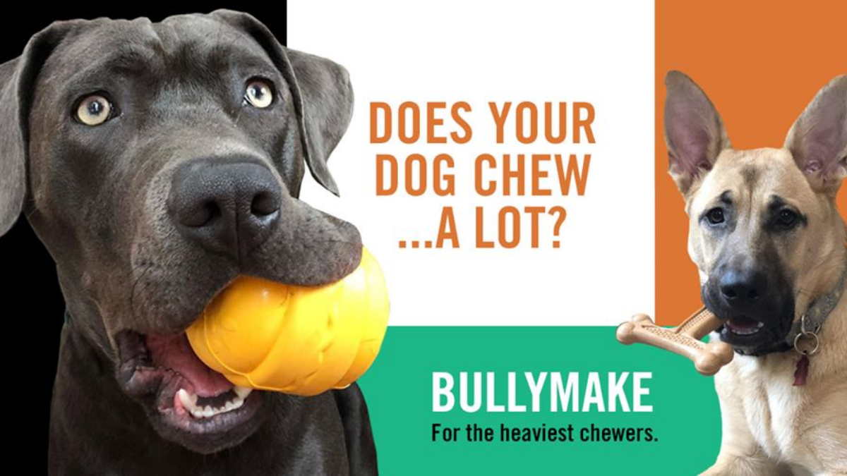 Bullymake Coupon Codes For Power Chewers Dog Subscription Box