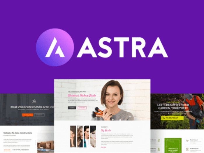 7 reasons why choose astra for your ecommerce website