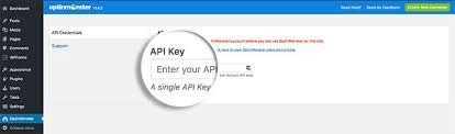 api key for optinmonster