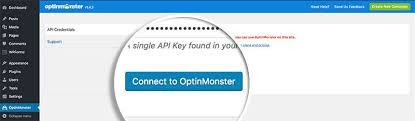 connect to optinmonster with license key