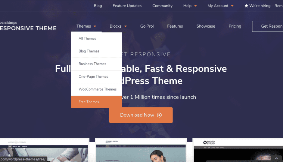 cyberchimps responsive theme for wordpress