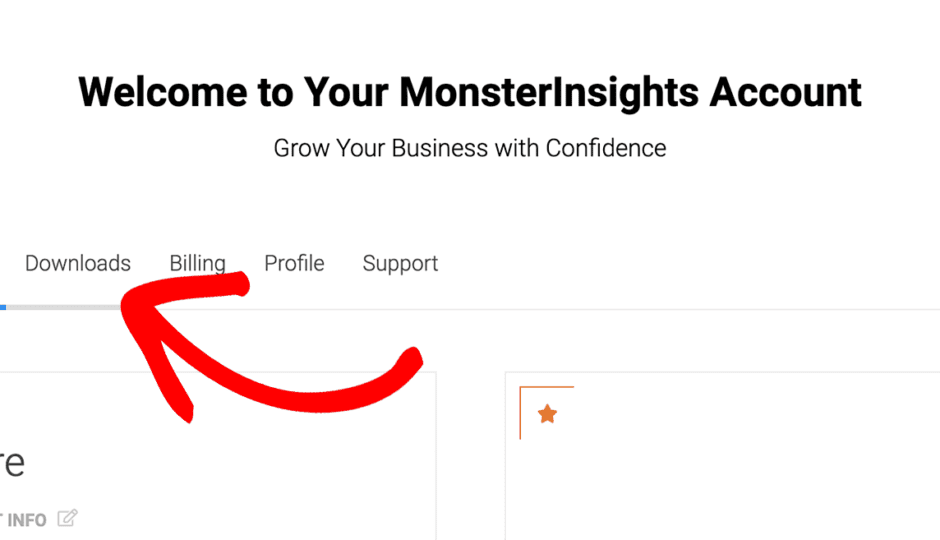 download monsterinsights plugin