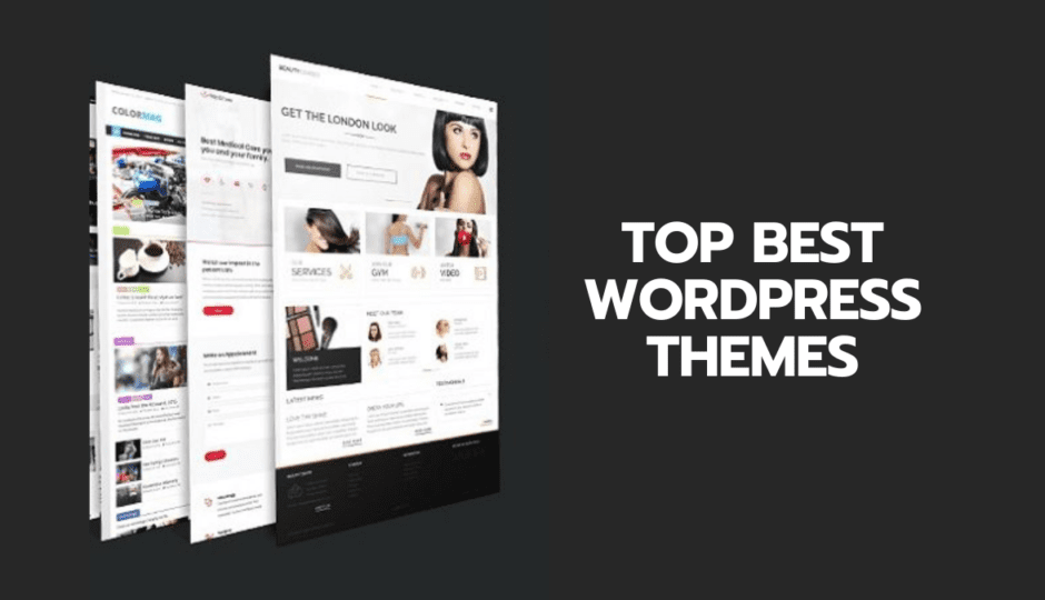 top best wordpress themes