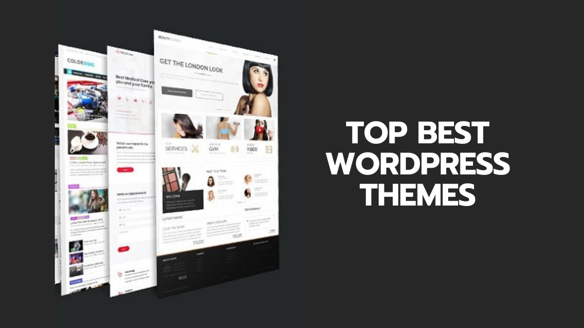 Top Best WordPress Themes in For All Types of Website