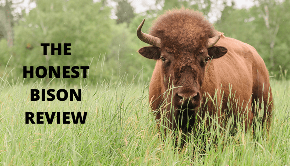 the honest bison review
