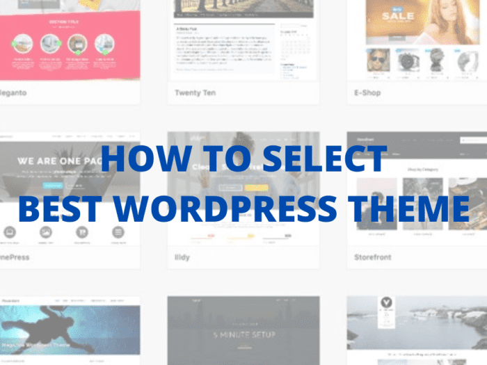 how to select best wordpress theme