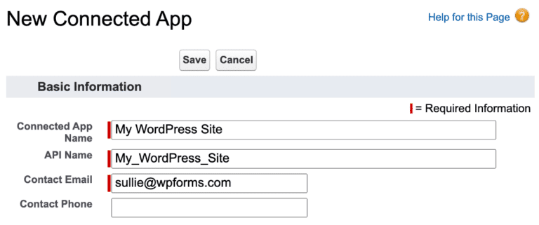 details of new connected apps in salesforce wordpress