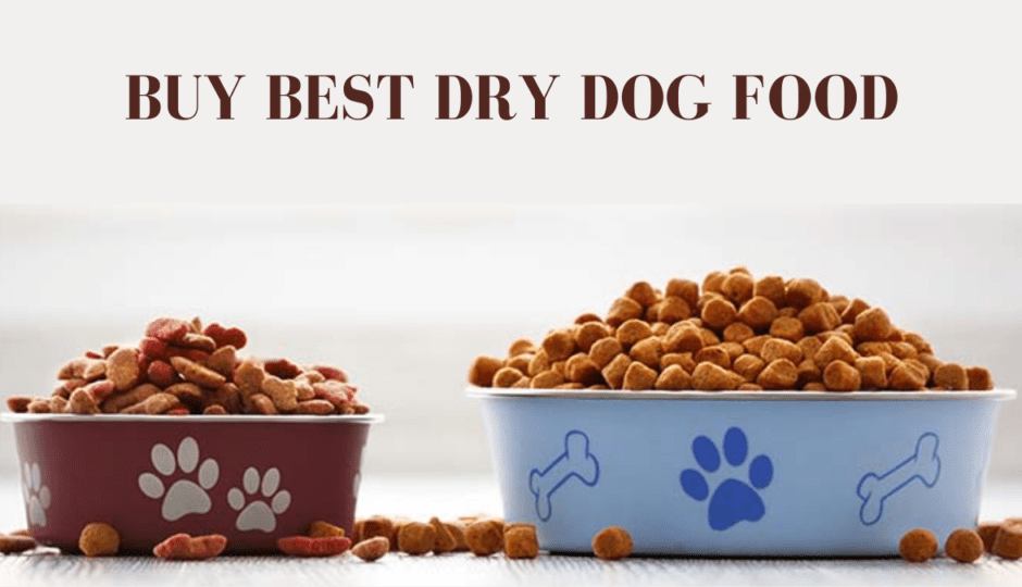 how to buy best dry dog food