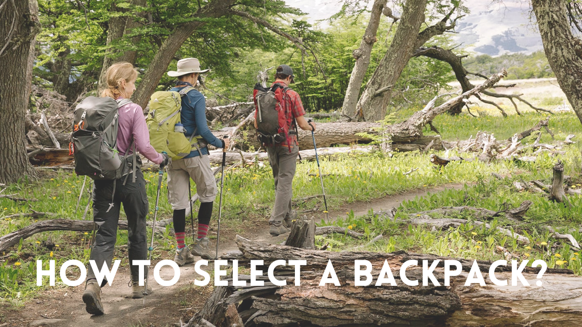 How to Choose A Backpack? (6 Tips to Buy The Best Backpack)