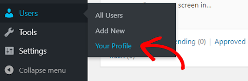 profile setting in wordpress for profile security