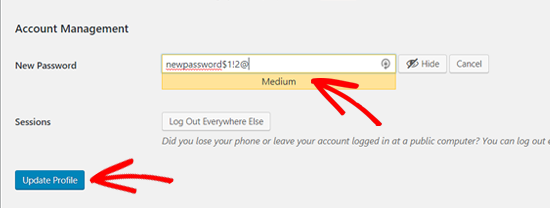 update new wordpress profile password