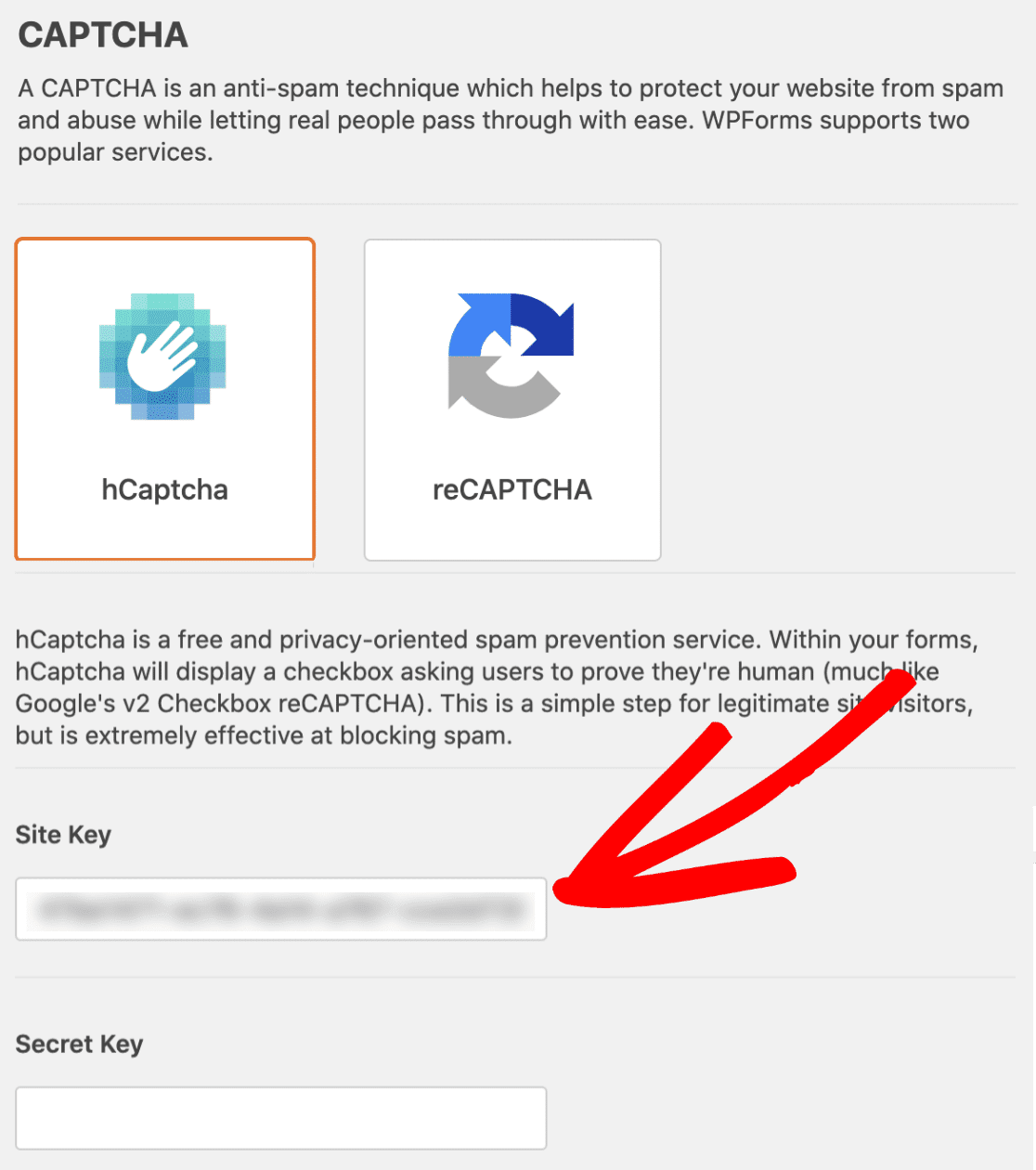 save secret hcaptcha sitekey in wpforms