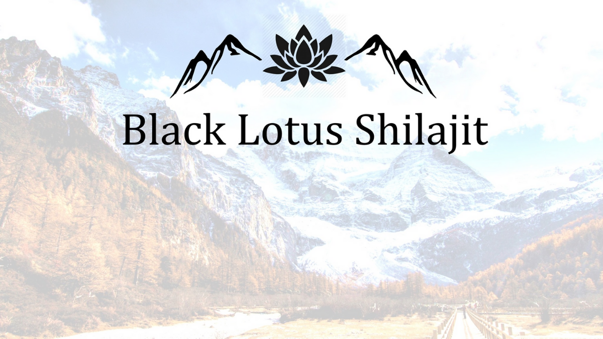 Black Lotus Shilajit Promo Codes for The Best Natural Rejuvenator