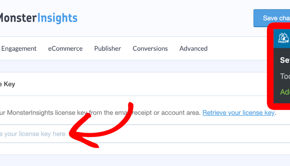 area to enter the monsterinsights lisence key