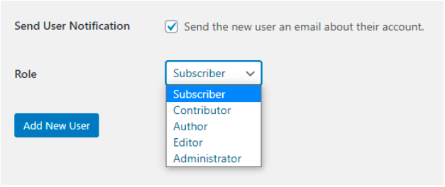 set up new user role in wordpress