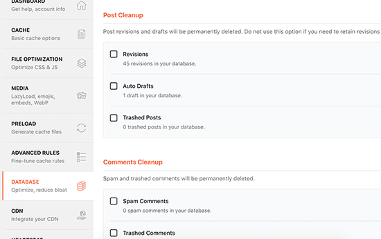 database cleanup in wp rocket