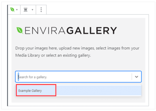 search photo gallery in envira image plugin