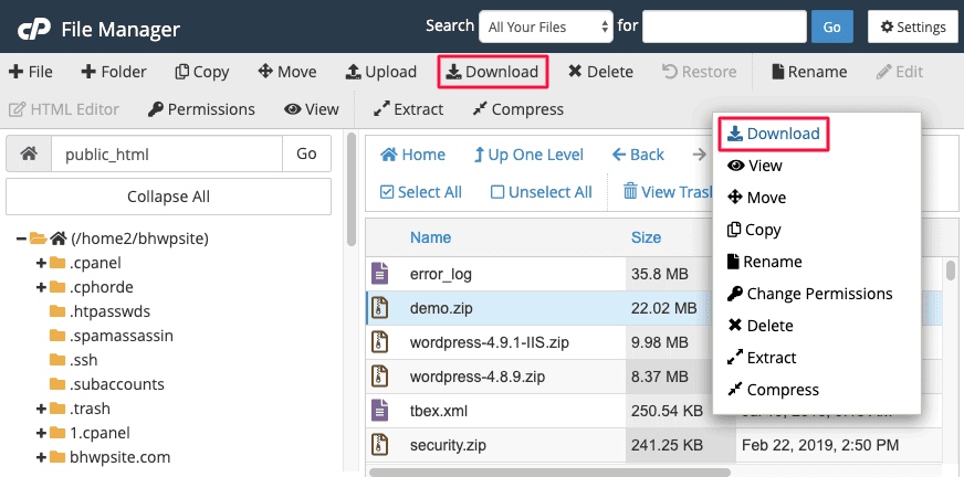 download wordpress database zip folder from cpanel file manager