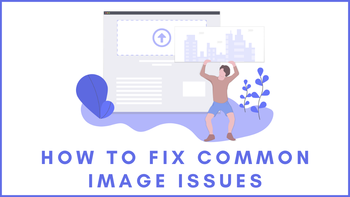 How to Fix Common Image Issues for Your WordPress Website?