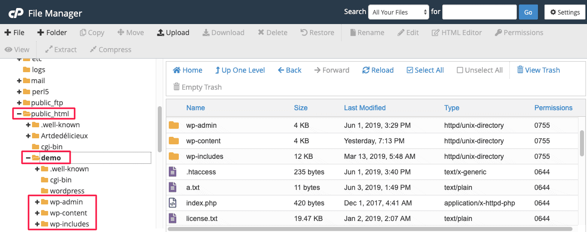 public html folder in cpanel