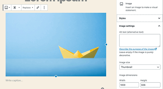 How To Fix Common Image Issues For WordPress Website In 2023 