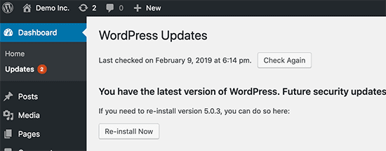 Update wordpress website to boost speed and performance
