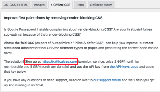 critical css autoptimize integration