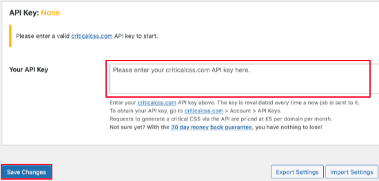 enter critical css api key to optimize css delivery for wordpress
