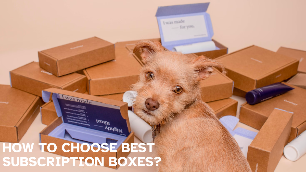 How to Choose The Best Subscription Boxes for You?